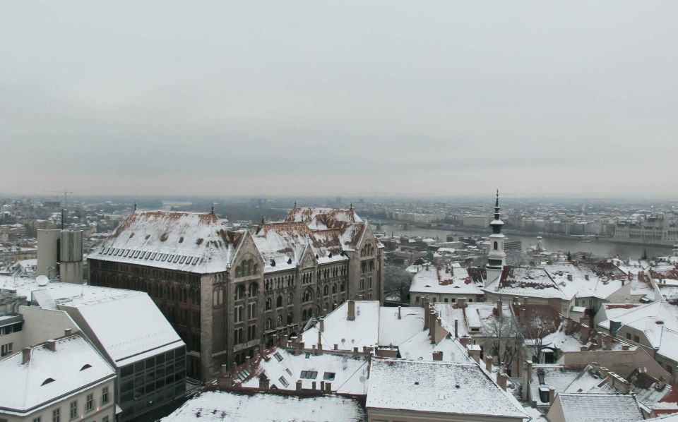 2 Hours Buda Castle Walking Tour - Walk with a Historian - Price and value: $49 for guide + entries