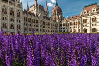 4 hours long private minivan tour in Budapest - Price and Value: What $627.20 Covers for Up to 6