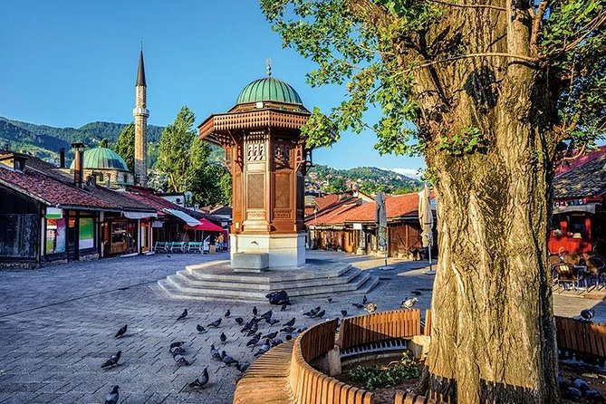 7 Days Balkan tour to historic Croatia and Bosnia Herzegovina - Pécs on the way back: ending in Hungary with Turkish ruins and a cathedral view