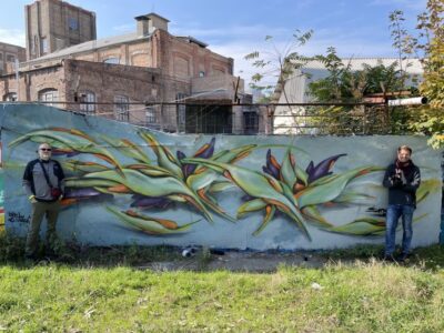 Alternative Bike tour: Graffiti Wall and Peace - Pedal Along the Danube and Margaret Island for Real Calm