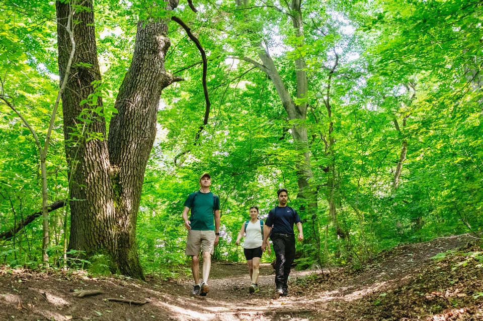 Budapest: Buda Hills Guided Hiking Tour with Optional Lunch - Why the Buda Hills feel like a reset from Budapest