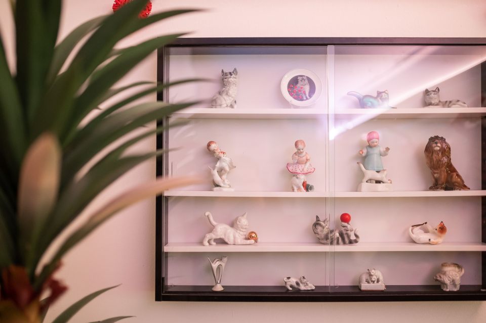 Budapest: Cat Museum Budapest Entry Ticket - Egyptian and Japanese Photo Walls: Best Spots for Creative Pictures