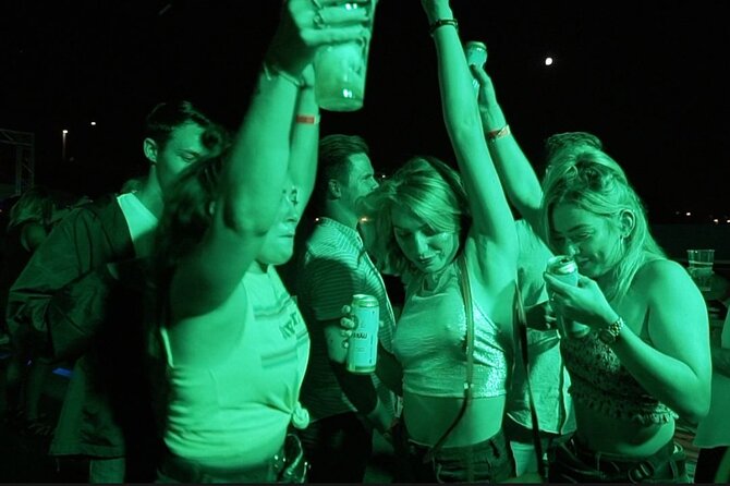 Budapest Danube Cruise with DJ, Drinks and After Party - Who This Danube Party Cruise Is For (and Who Should Skip It)