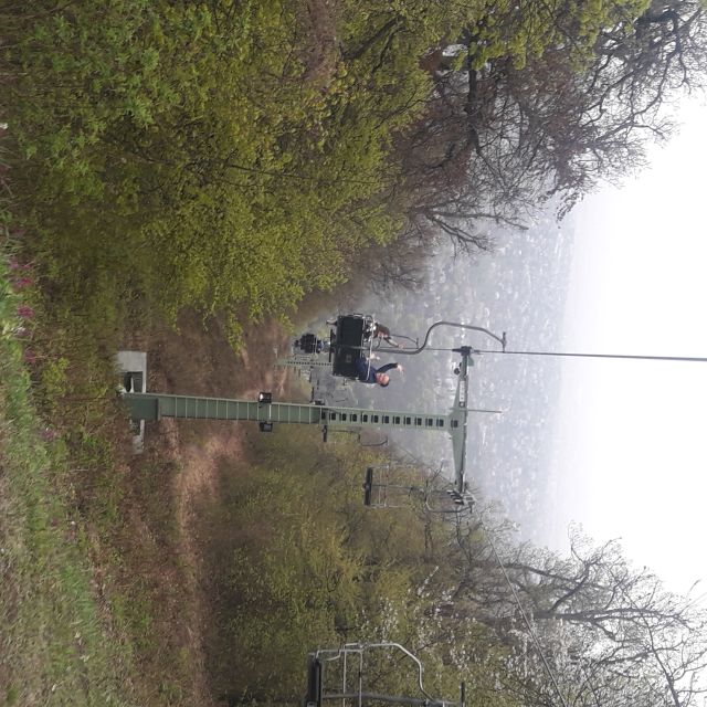 Budapest: Elisabeth Tower Visit by Chairlift & Transport - Who should book this tour (and who should skip it)