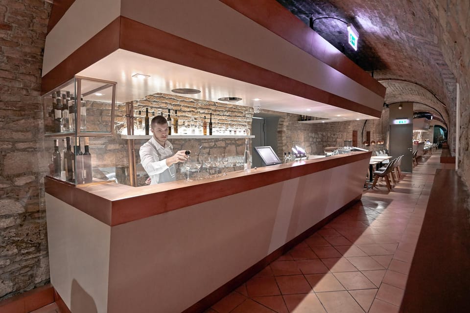 Budapest: Hungarian Gastro Cellar and Assisted Tastings - Should you book GastroCellar in Budapest?