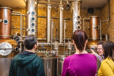Budapest: Hungarian Whisky, Gin, and Pálinka Tasting - The palinka conversation starts before the first sip