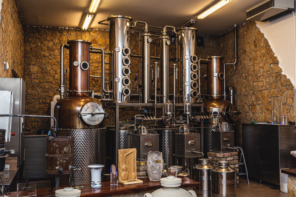 Budapest: Hungarian Whisky, Gin, and Pálinka Tasting - Who this tasting is best for (and who should skip)
