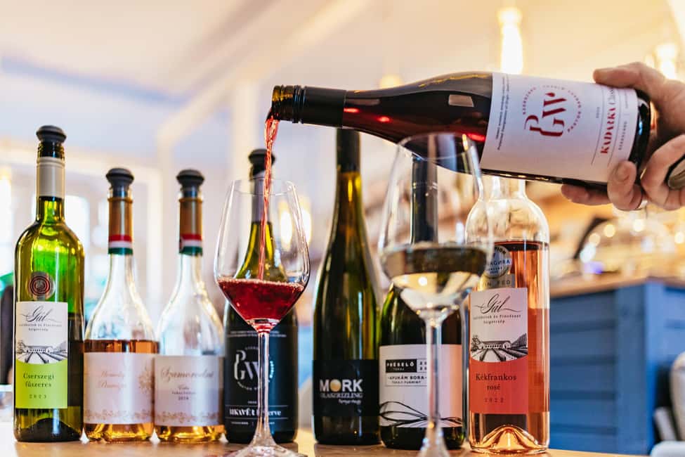 Budapest: Hungarian Wine Tasting with 7 Wines and Tapas - Timing and logistics: a fixed session, no pickup, simple meeting