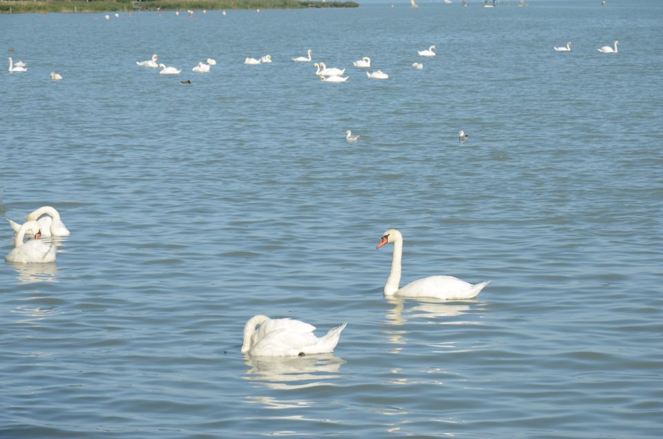Budapest: Lake Balaton and Herend Full-Day Private Tour - Balatonfüred promenade: the spa-resort side of Lake Balaton