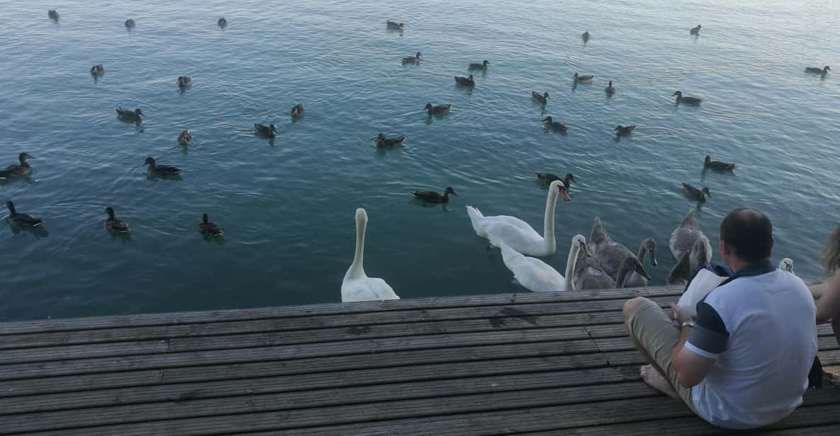 Budapest: Lake Balaton & Herend Porcelain Private Day Tour - Key points worth your attention