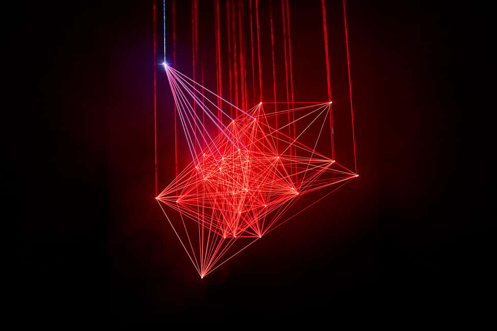 Budapest: Light Art Museum - Immersive New Media Experience - Key highlights worth planning around