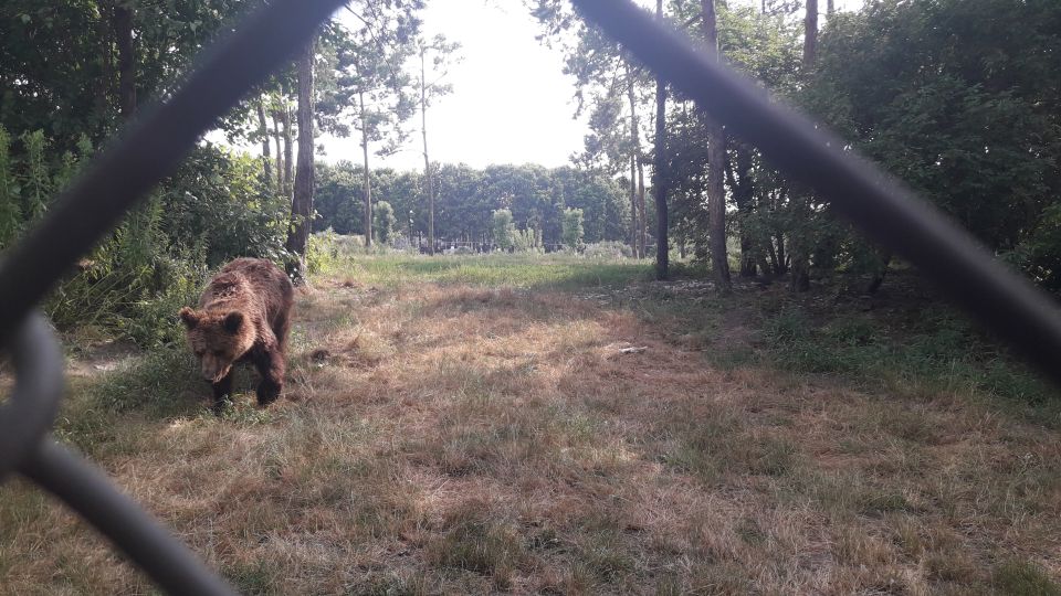 Budapest: Transport & Guided Tour of Bear and Wolf Sanctuary - Is this tour for you? Good fit and who should skip it