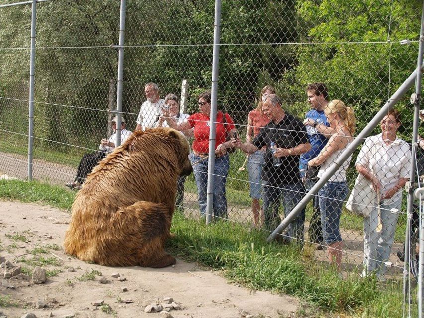 Budapest: Transport & Guided Tour of Bear and Wolf Sanctuary - The Veresegyház sanctuary visit: space, fences, and real routines