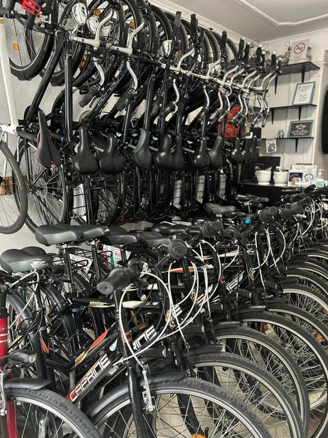 Choose a bicycle and make your own tour in Budapest-24 hrs - Book It or Skip It: A Quick Decision Guide