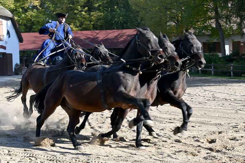 Countryside ranch, horse show & lunch - From Batthyány tér to the puszta: the ride that sets the mood