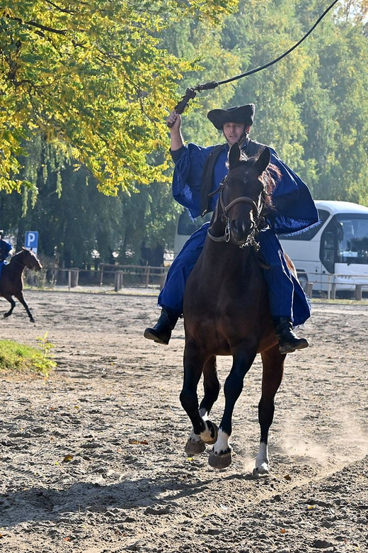 Countryside ranch, horse show & lunch - A 15-minute carriage ride: the close-up that makes it click