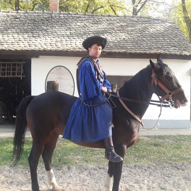Countryside ranch, horse show & lunch - Goulash soup, strudel, and palinka: a lunch that feels like a farmers’ meal