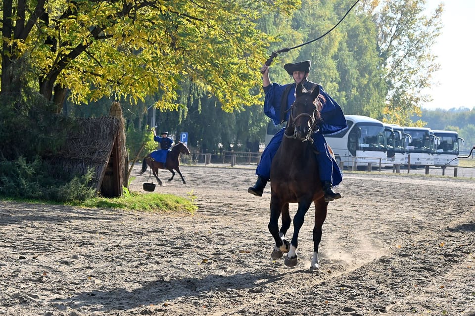 Countryside ranch, horse show & lunch - Price and value: what $127 buys you in real time