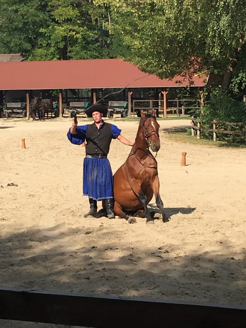 Countryside ranch, horse show & lunch - Who this tour is best for (and who should skip it)