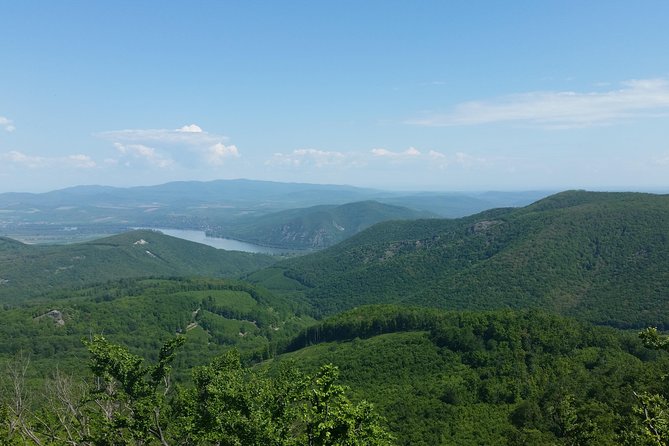 Danube Bend Full-Day Private Tour From Budapest - Lunch in Visegrád: 3 courses, drink, and coffee with a river view
