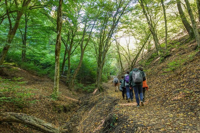 Danube Bend Hiking and Kayaking - Price and value: what $166.80 really covers