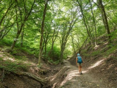 Danube Bend Hiking and Kayaking Adventure - Julianus Lookout Tower and Nagymaros: the big view payoff