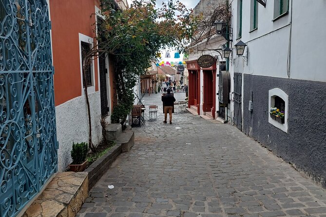 Danube Bend Privately with full board - Stop 3: Szentendre Main Square for Shopping, Ice Cream, and Museums