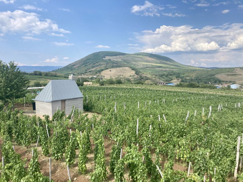 Eger: Countryside, Culture, and Wine Private Tour - Lunch and Free Time: Use It to Reset Your Legs