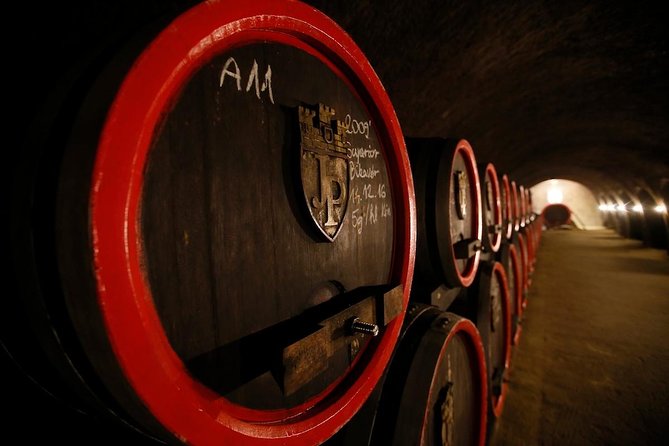 Eger Private Full-Day Wine Tasting Tour and Sightseeing from Budapest - Two winery visits and up to 11–12 wines to taste