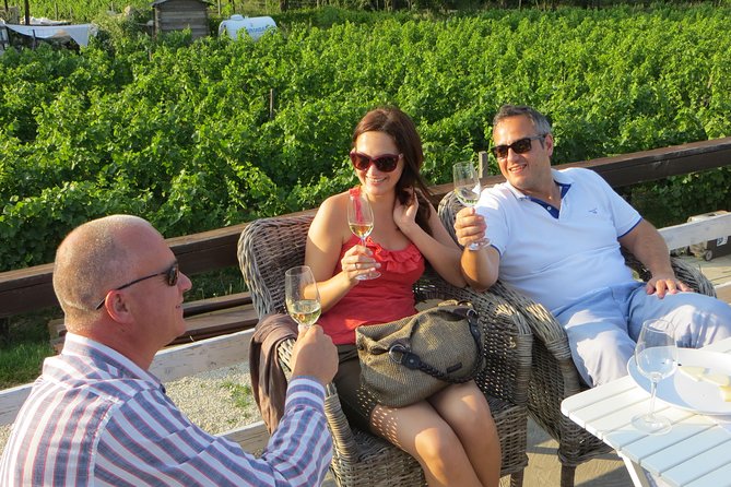 Etyek Private Half-Day Wine Tasting Tour from Budapest - The Route to Etyek: Vine Hills and a Quick Orientation