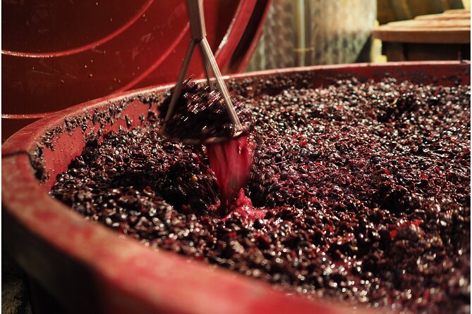 Etyek Private Half-Day Wine Tasting Tour from Budapest - Stop in Etyek: Small Village Energy, Wine-First Focus