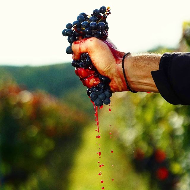From Budapest: Guided Tour of Eger with Wine Tasting - Logistics That Can Make or Break the Day