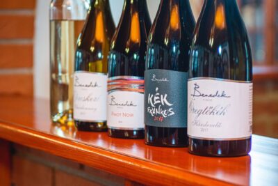From Budapest: Mátra Hills Wine Tour - Two Wineries, Up to 8 Tastings: How the schedule actually flows