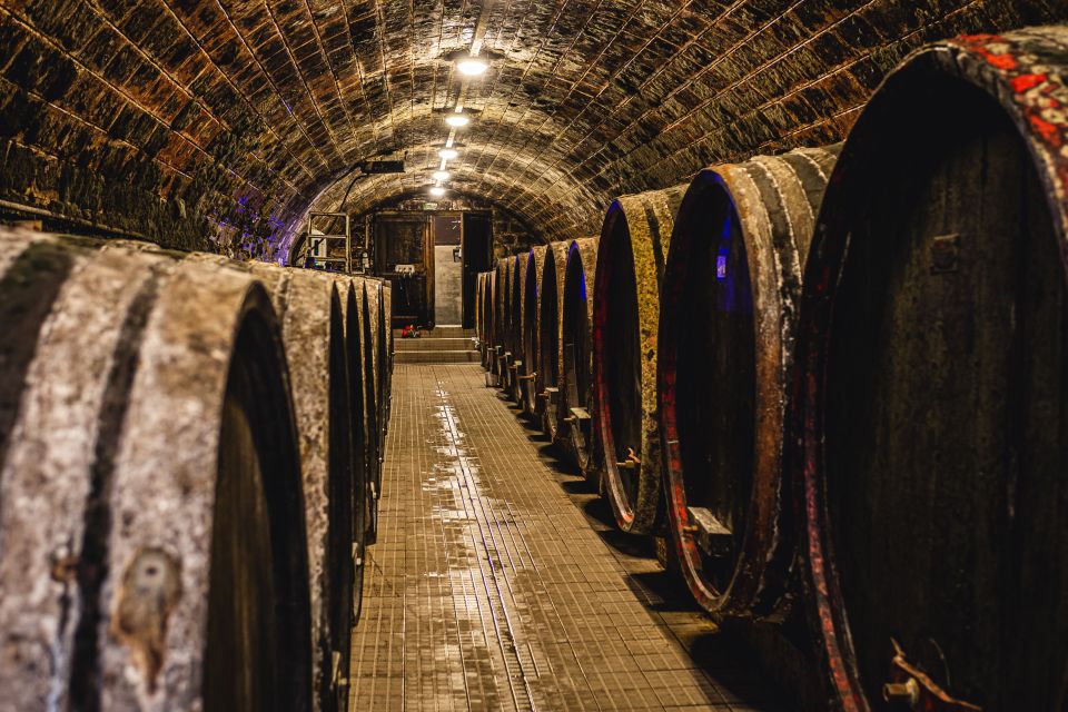 From Budapest: Mátra Hills Wine Tour - Should you book the Mátra Hills Wine Tour?