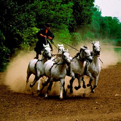 From Budapest: Puszta Horse Show and Countryside Visit - Getting out of Budapest: bus time you can plan for