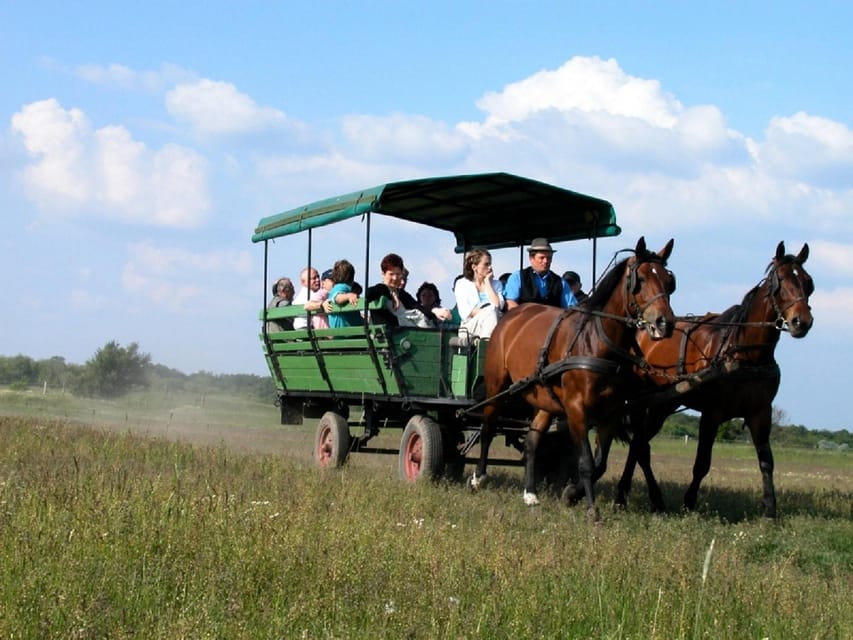 From Budapest: Puszta Horse Show and Countryside Visit - Lunch with wine: what you get, and why it’s worth it
