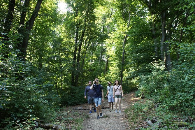 Hiking in Budapest - Pace, Heat, and Snow: How Conditions Change the Day