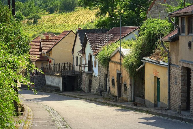 Home to Bull's Blood red wine! Eger with winetaste private tour - Price and Timing: What You’re Really Paying For