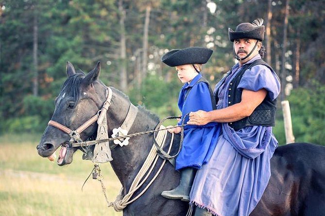 Horseshow on the Hungarian Puszta, private tour from Budapest with entry! - Key things to love about this Budapest puszta horse show