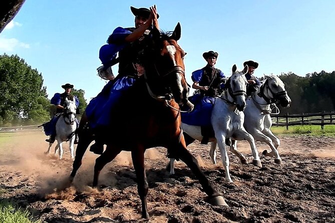 Horseshow on the Hungarian Puszta, private tour from Budapest with entry! - Private day trip from Budapest: comfort, control, and who it’s for