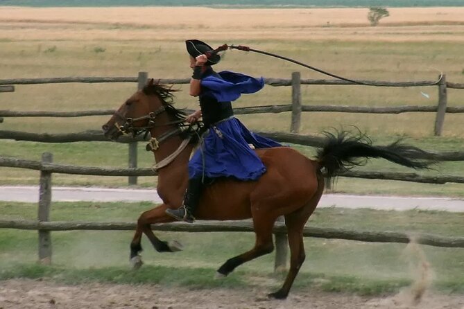 Horseshow on the Hungarian Puszta, private tour from Budapest with entry! - Price and value: what you’re paying for at $360 per person