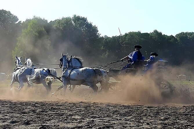 Horseshow on the Hungarian Puszta, private tour from Budapest with entry! - Practical tips for a smooth 10:00 am start