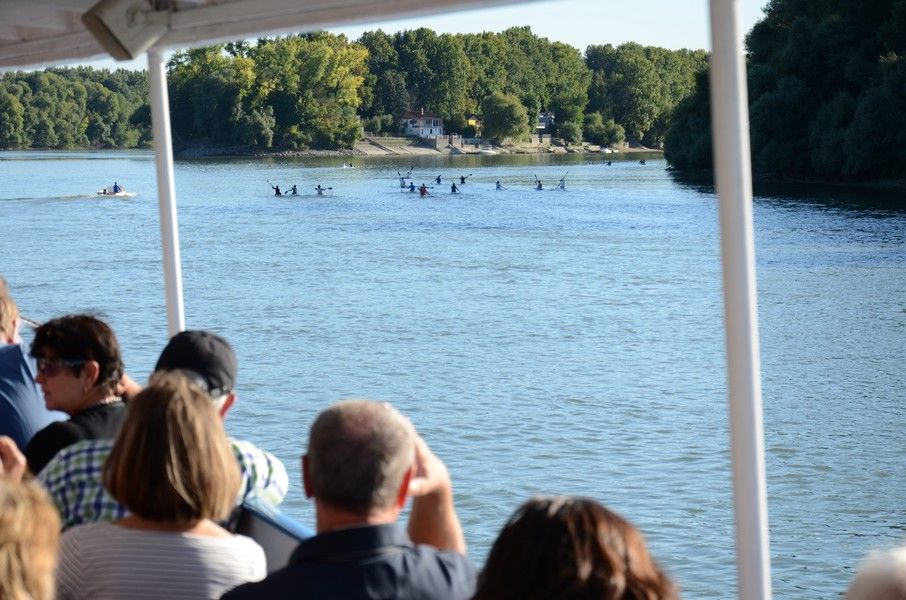 Hungary: Full-Day Private Danube Bend Tour - Languages and Private Group Comfort: You Get to Choose the Pace
