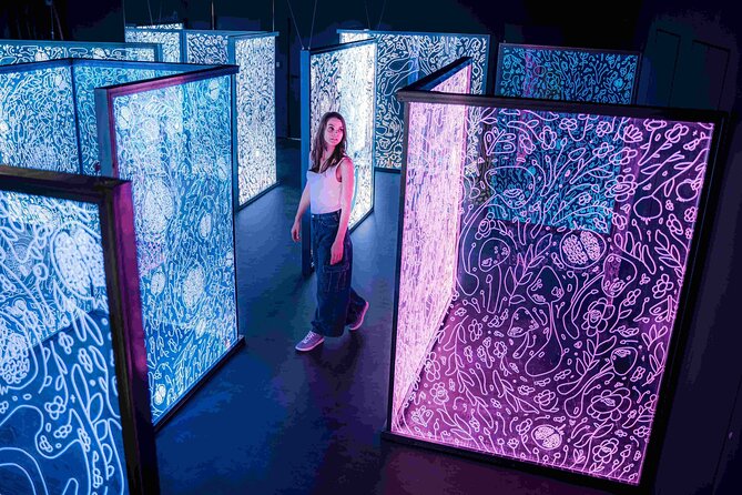 IKONO Budapest - Immersive Experience - Price and value: is $18.14 worth an hour of interactive art?
