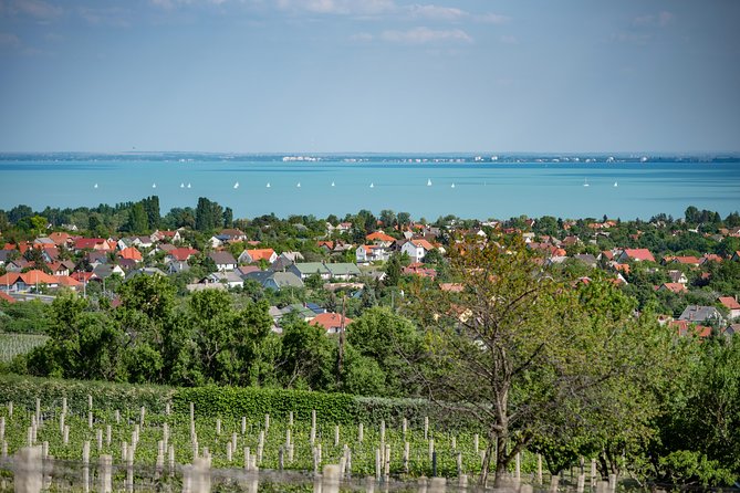 Lake Balaton Full Day Private Wine Tour - Leaving Budapest for Lake Balaton: comfort, time, and what you’re really paying for