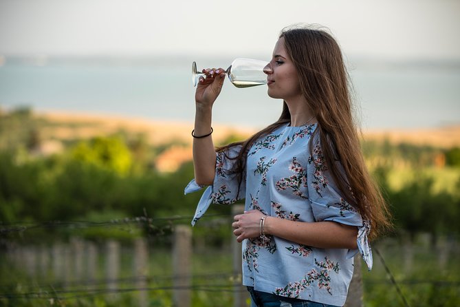 Lake Balaton Full Day Private Wine Tour - Lunch on a wine day: included food, included sanity