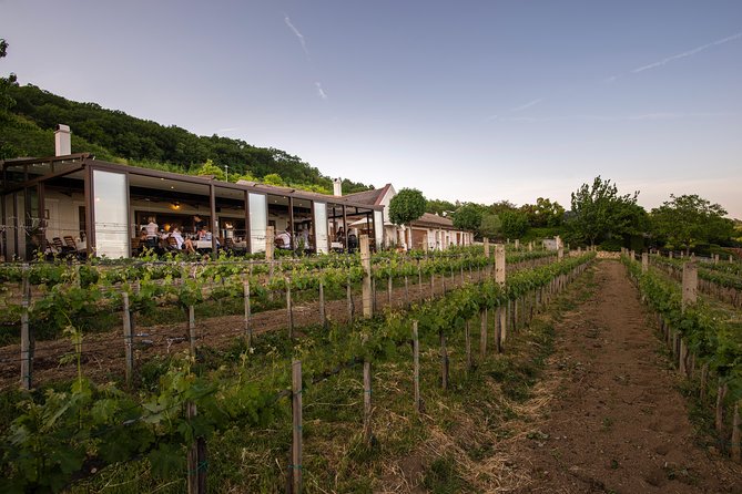 Lake Balaton Full Day Private Wine Tour - The rhythm of the whole day: timings, pace, and when to bring the right things