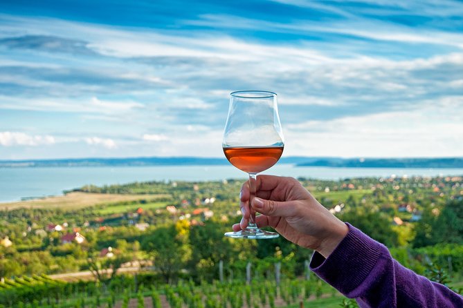 Lake Balaton Full Day Private Wine Tour - Price and value: is $1,919.88 per group really fair?