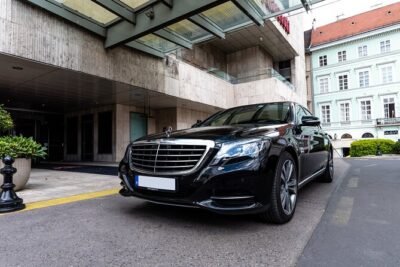 Mercedes S Class/BMW7 Private Budapest Half Day Tour - Gellert Hill to Buda Castle: The Panoramas You’ll Want to Revisit