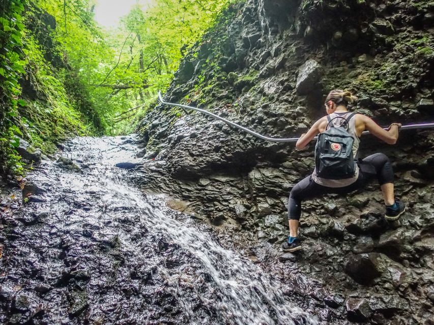 One Day Wonder Hike - The Essence of the Danube Bend - Price and logistics: is $170 good value for a full-day hike?